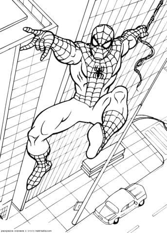 Top 50 Dessins Spiderman Gratuits & Faciles à Colorier en 2023 37