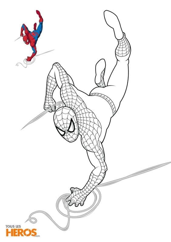 Top 50 Dessins Spiderman Gratuits & Faciles à Colorier en 2023 38