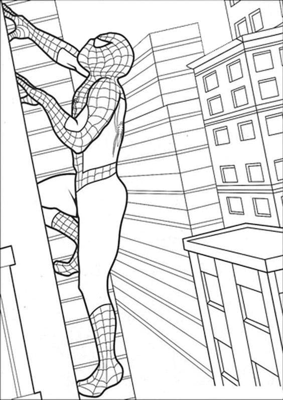 Top 50 Dessins Spiderman Gratuits & Faciles à Colorier en 2023 44