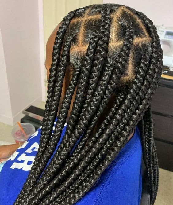 Knotless Braids : 25 Différents Styles de Tresses Sans Nœuds 23