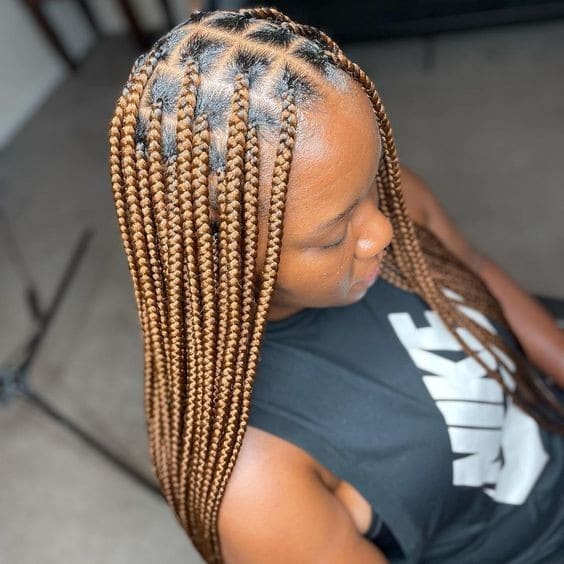 Knotless Braids : 25 Différents Styles de Tresses Sans Nœuds 12