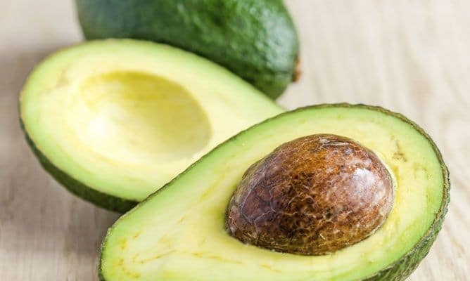 Cultiver Un Avocat Chez Soi à partir d’une graine Pour En Avoir à l'Infini ! 8