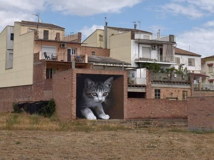 Street Art en 3D: Plongée dans l'Univers Surprenant des Fresques Urbaines 25