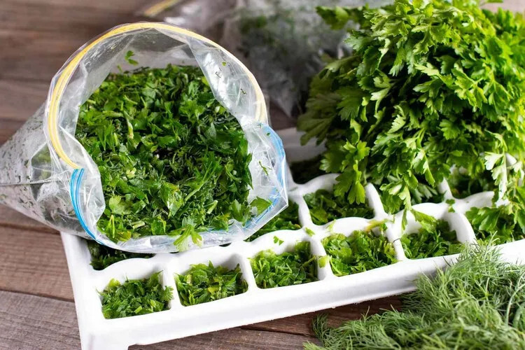 Comment congeler du persil frais et d’autres herbes ? Nos méthodes simples 2