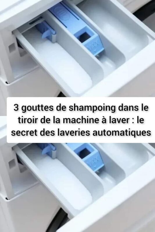 Le Pouvoir Inattendu du Shampoing : Transformer Votre Lessive en Expérience de Luxe 1